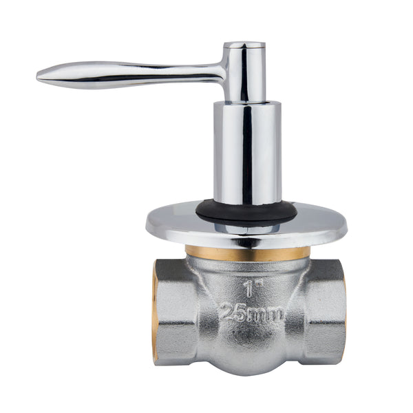 CP Brass Control Valve 25MM