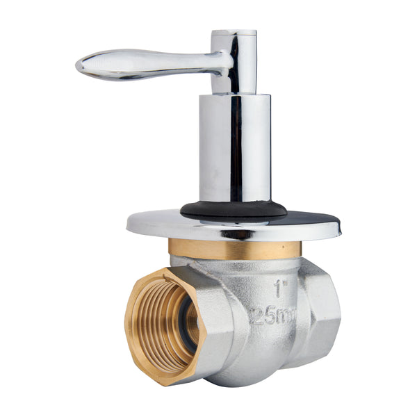 CP Brass Control Valve 25MM